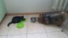 20160827_075912.jpg