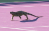 upload_2017-3-23_1-28-16.png