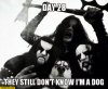 day-28-they-still-dont-know-im-a-dog-death-metal-band.jpg