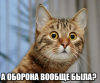 Скриншот 22-04-2017 234941.png
