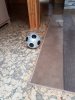 20170830_165553.jpg