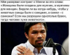 Снимок Пакьяо.PNG