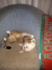 IMG_20181205_165252.jpg