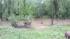 20200530_055555_1.JPG