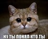 IMG_20220303_175118_448.jpg