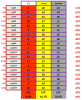 FULL#19 турнир прогнозистов 24-25.png