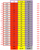 FULL#20 турнир прогнозистов 24-25.png
