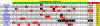 #25 СВОД FORMULA ONE турнир прогнозистов 24-25.png