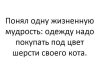 1495539092_dnya-54.jpg