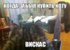 1495539106_dnya-46.jpg