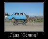 ort1g5fIsT0.jpg