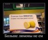 demki-kotorye-ulybnut-10.jpg