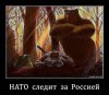 673ee92b0ffd4afe790a739ac23.jpg