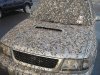 IMG_20171012_130803_16.jpg