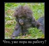 545872c6fe1f471683ce0787fccc2ae7.jpg