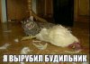 IMG_20171024_201340_0.jpg