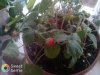 IMG_20171120_103631.jpg