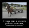 10-77.jpg