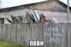JOb4T4-unXE.jpg