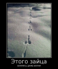 lol-demo-22.png