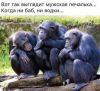 Скриншот 13-01-2018 152313.png