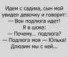 YHxRF_NeAJg.jpg