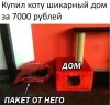 1521331923_kartinki-41.jpg