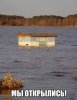 AJ_biqjo8mo.jpg