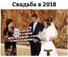 11325852.jpg