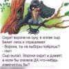 IMG_20180915_210006.jpg