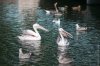 DSC_2776.jpg