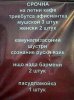 7pasudpamoyka.jpg