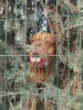 IMG-20191109-WA0004.jpg